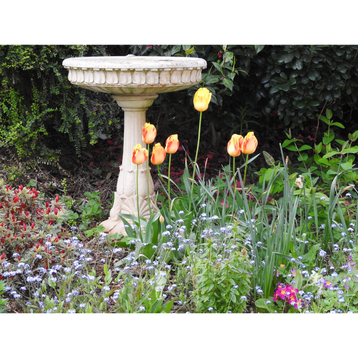 Haddonstone - Hazelwood Bird Bath - HC280